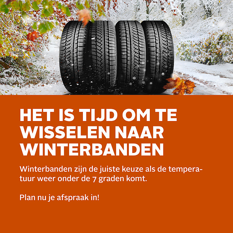 Carteam Autobedrijf Ton de Wit